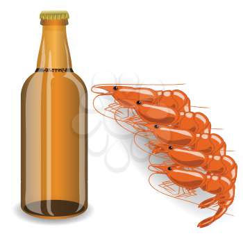 colorful illustration with  bootle of beer and shrimp for your design