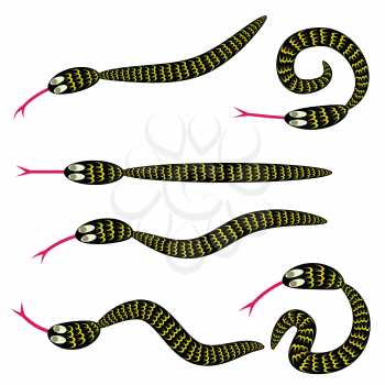 colorful illustration with  set of snakes for your design