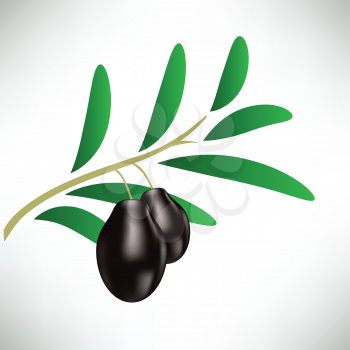 colorful illustration with black olives for your design