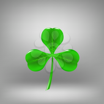 Green Leaf Clover Isolated on Grey Background