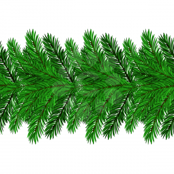 Fir Green Branches Isolated on White Background