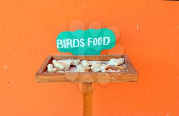 Wooden bird feeder with food near the orange wall