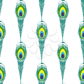 Colorful Peacock Feathers Seamless Pattern Isolated on White Background