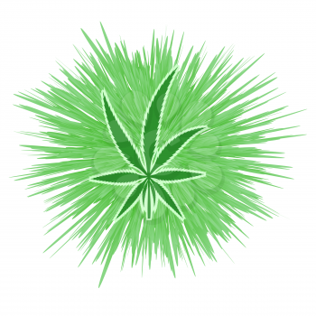 Green Cannabis Leaf Icon. Medical Marijuana on White Background
