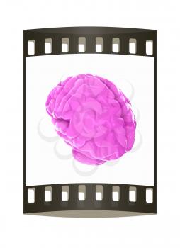 Human brain. The film strip