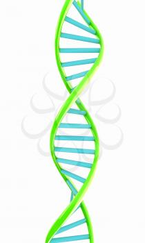 DNA structure model on white