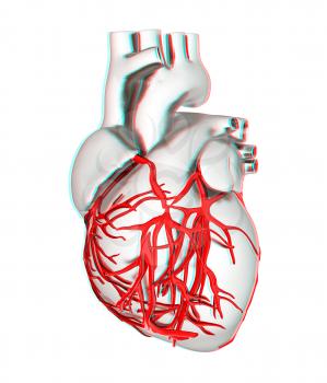 Human heart. 3D illustration. Anaglyph. View with red/cyan glasses to see in 3D.