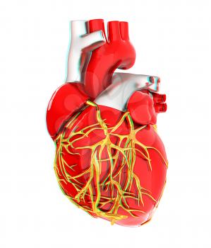 Human heart. 3D illustration. Anaglyph. View with red/cyan glasses to see in 3D.