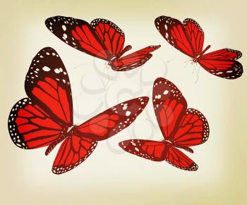 Butterflies on a white background. 3D illustration. Vintage style.