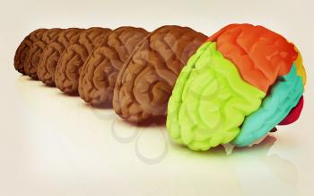 Human brains. 3D illustration. Vintage style.