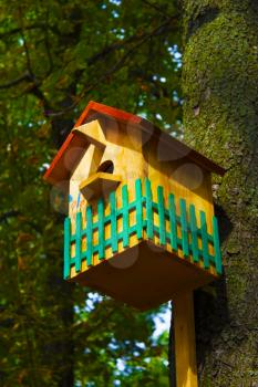 birdhouse on the tree