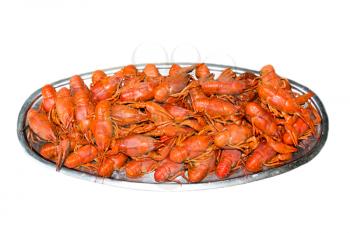 Red boiled crawfishes on the table in oval dish