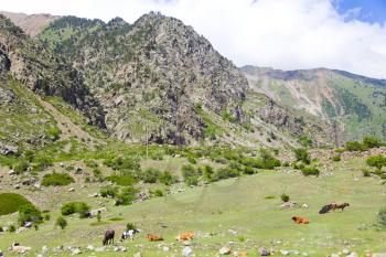 Photo of landscape with Russian Caucasus rockies