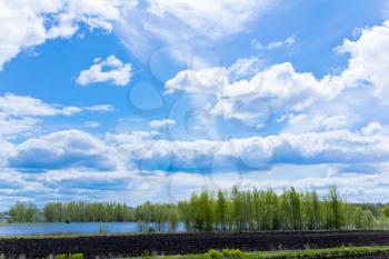 Photo of summer landscape with sky and forest