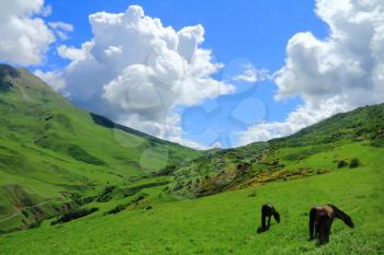 Summer scenery of Caucasus green mountains