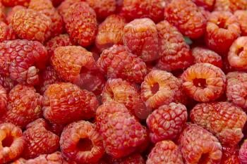 Photo of the background fresh red raspberry
