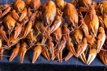 Photo of background with red boiled crawfishes