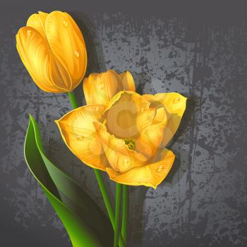 Royalty Free Clipart Image of a Tulip Background