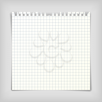 Square note paper sheet with squares, realistic vector illustration