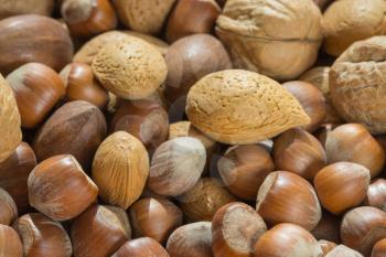 Assorted nuts in shells. Close up macro. Natural foods, vegan supplement, healthy fat source. Almonds, walnuts, hazelnuts