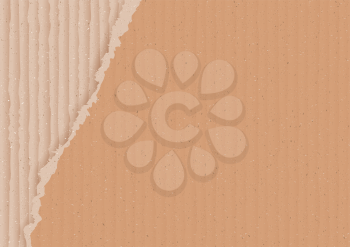 Corrugated cardboard background with torn peace, realistic vector illustration