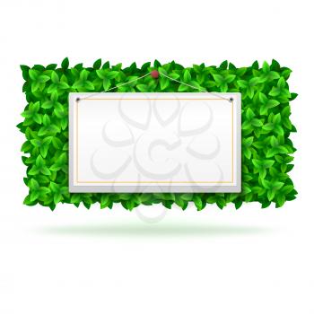 Summer background with green leaves and banner for your advertising. Vector illustration for your design and presentation.