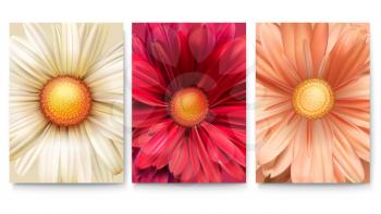 Set of covers with bud of flowers close-up. Trendy background with patterns of daisies for banners brochure, layout, 3D illustration. Vector template of poster.