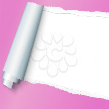Realistic pink torn open paper with space for text on white background, holes in paper. Torn strip of paper with uneven, torn edges. Coiling torn strip of paper