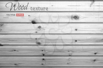Monochrome wood background. There is place for your text.