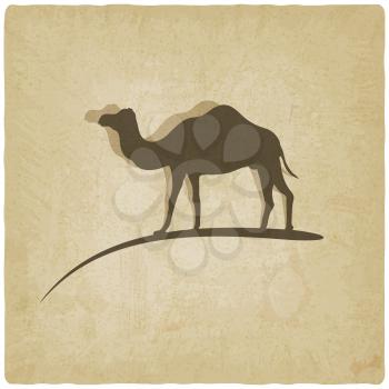 camel old background - vector illustration. eps 10