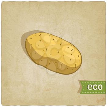 potato eco background - vector illustration. eps 10
