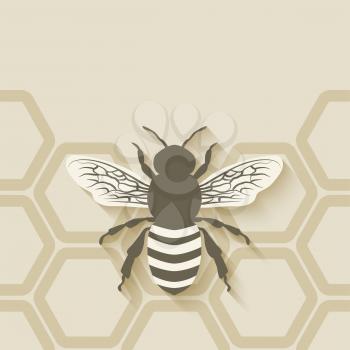 bee honeycomb background - vector illustration. eps 10