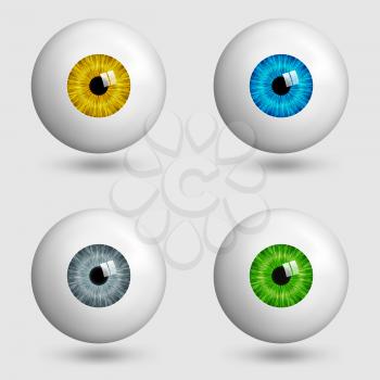 set of realistic eyes with different colors of irises. vector illustration - eps 10