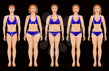 types of female figures. vector illustration - eps 8