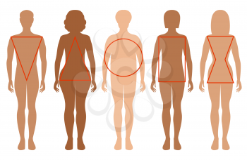 Five female silhouettes. Types of female figures. Vector illustration