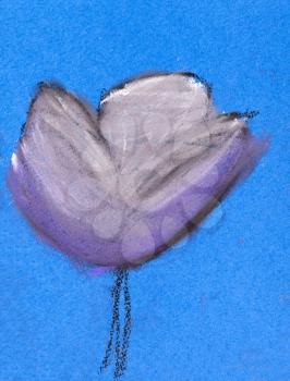 children drawing - one white tulip bloom on blue background