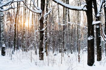 winter park in twilight