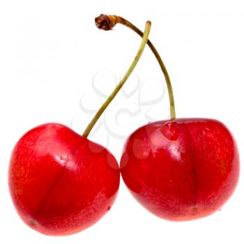 two red sweet cherries closeup isolated on white