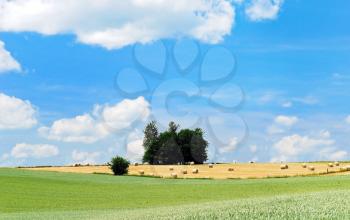 summer rural landscape in France