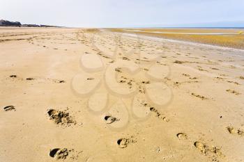 empty sand beach of english channel in summer day, France