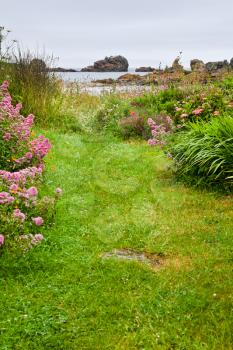 green grass coastline of English Channel in Brittany, France