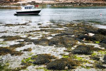 low water on breton coastline in evening in Ile de Brehat, Brittany, France