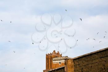 birds under ancient Palazzo del Grillo and Torre Ex-Marchione De Grillis in Rome, Italy