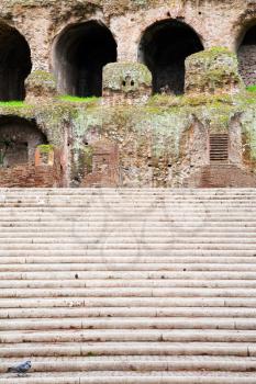 steps to ancient Palatine palace, Rome, Italy