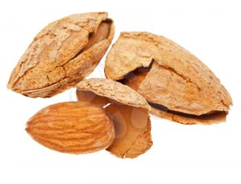 three fried almond nuts close up isolated on white background