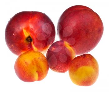 red and yellow ripe nectarines isolated on white background