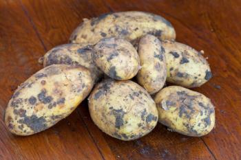 yellow raw potatoes on wooden table