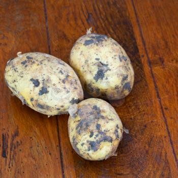 three yellow raw potatoes on wooden table