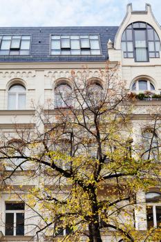 linden tree and facade of residential house of 19th century in Berlin in autumn