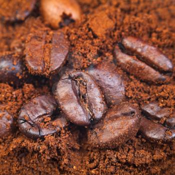 roasted coffee beans in ground coffee close up